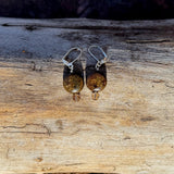 Bronze coin earrings